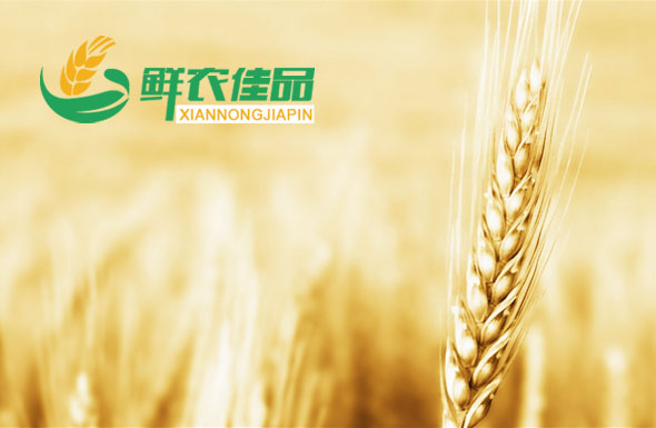 北京高端网站建设公司-鲜农佳品