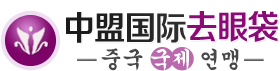 北京高端网站建设公司-中盟国际美容院