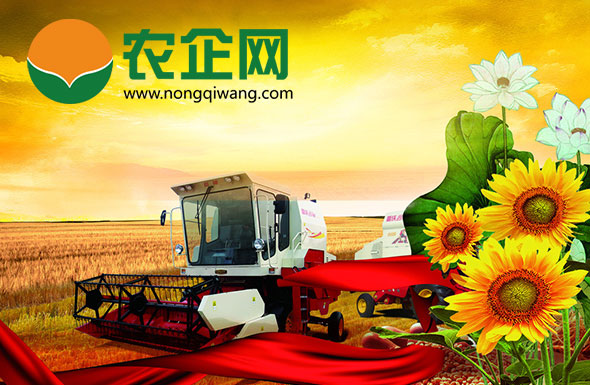 北京高端网站建设公司-农企网