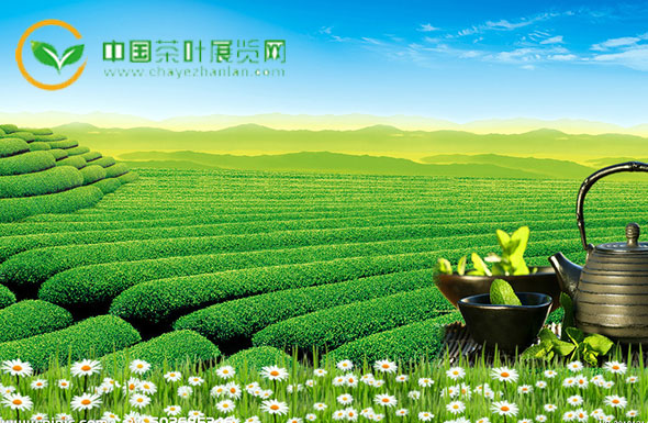 北京高端网站建设公司-茶叶展览网